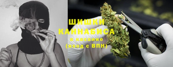 прущие крисы Алзамай