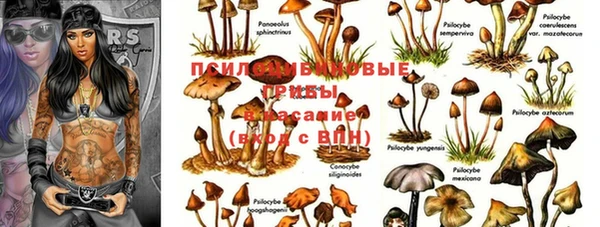 кокаин колумбия Алексин