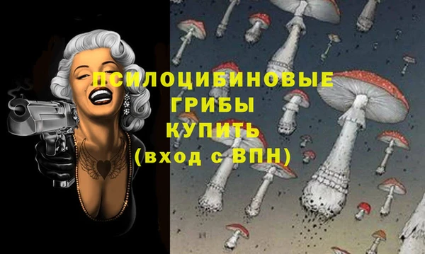 прущие крисы Алзамай