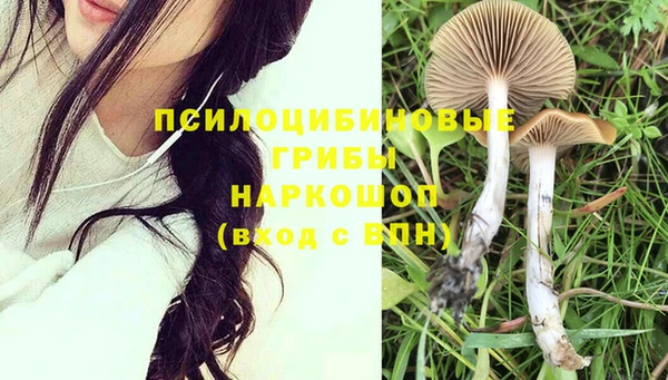кокаин колумбия Алексин