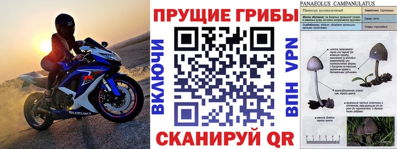 Псилоцибиновые грибы мухоморы  blacksprut ссылка  Лабытнанги 